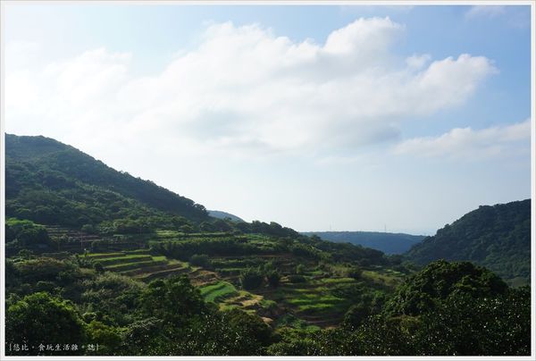 新北石門嵩山-6-百年梯田.JPG