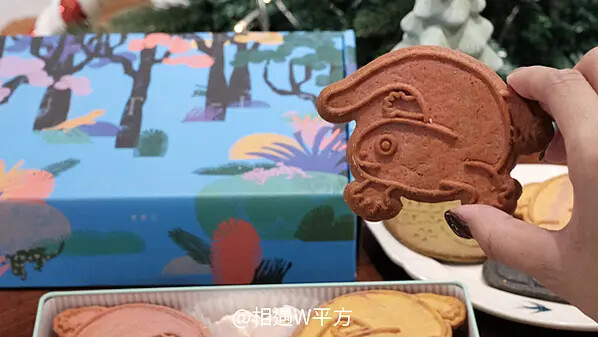 【聖誕交換禮物】菓實日 動物森林鐵盒餅乾 臺灣特有種動物 交換禮物 保育動物主題 永續企業 伴手禮 (10)