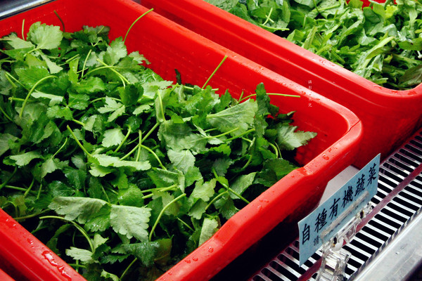 【新北市新店區。鍋物吃到飽】 羴(ㄕㄢ)大王羊肉爐 399元吃到飽 碧潭烏來推薦美食 捷運新店站 (二訪)