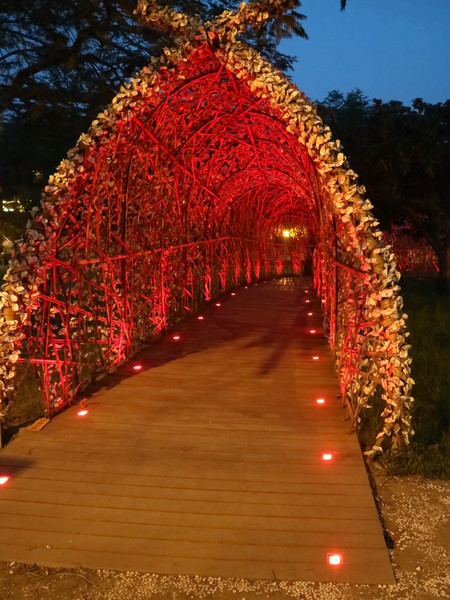 聚竹蚵地景藝術：【高雄旅遊】讓愛與祝福"聚"在一起，竹蚵地景藝術
