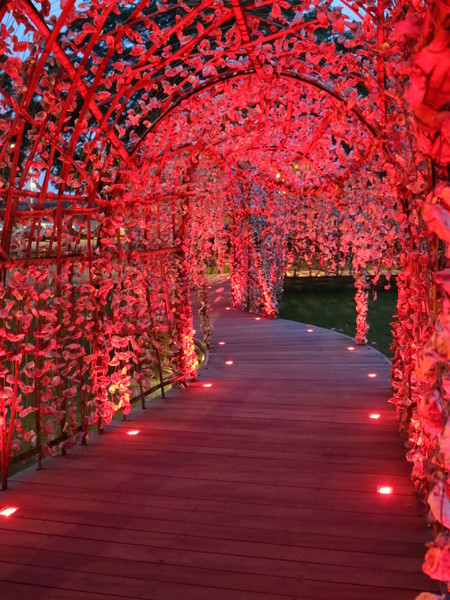 聚竹蚵地景藝術：【高雄旅遊】讓愛與祝福"聚"在一起，竹蚵地景藝術