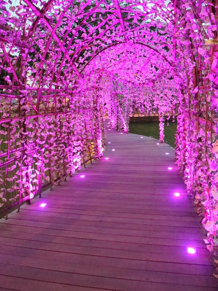 聚竹蚵地景藝術：【高雄旅遊】讓愛與祝福"聚"在一起，竹蚵地景藝術