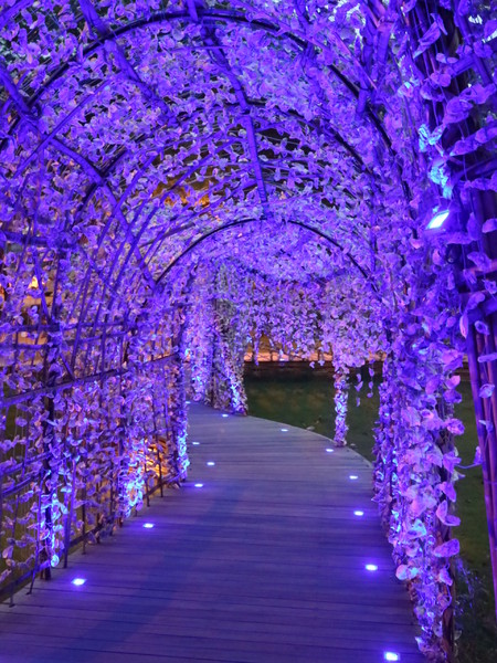 聚竹蚵地景藝術：【高雄旅遊】讓愛與祝福"聚"在一起，竹蚵地景藝術