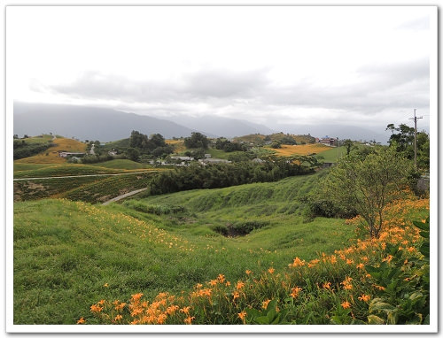 《幸福行‧環島》花蓮‧六十石山金針花海&彭大媽客家食堂露營區