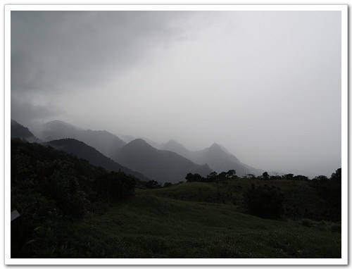 《幸福行‧環島》花蓮‧六十石山金針花海&彭大媽客家食堂露營區