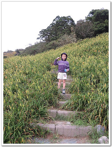 《幸福行‧環島》花蓮‧六十石山金針花海&彭大媽客家食堂露營區