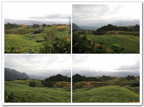《幸福行‧環島》花蓮‧六十石山金針花海&彭大媽客家食堂露營區