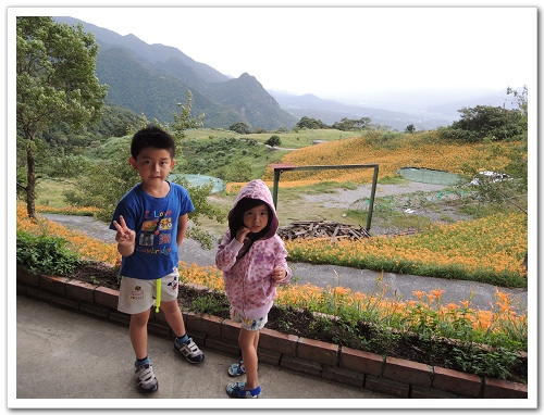 《幸福行‧環島》花蓮‧六十石山金針花海&彭大媽客家食堂露營區