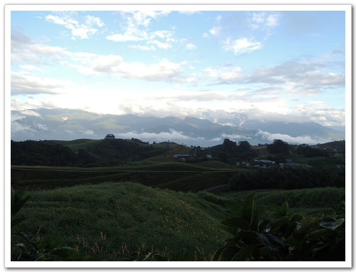《幸福行‧環島》花蓮‧六十石山金針花海&彭大媽客家食堂露營區