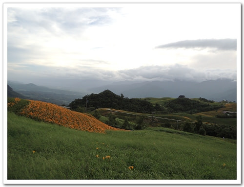 《幸福行‧環島》花蓮‧六十石山金針花海&彭大媽客家食堂露營區