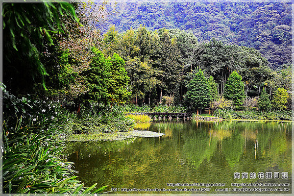 車埕木業館：【南投】水里鄉。車埕木業展示館 ＆ 貯木池與天車