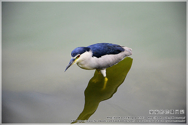 車埕木業館：【南投】水里鄉。車埕木業展示館 ＆ 貯木池與天車