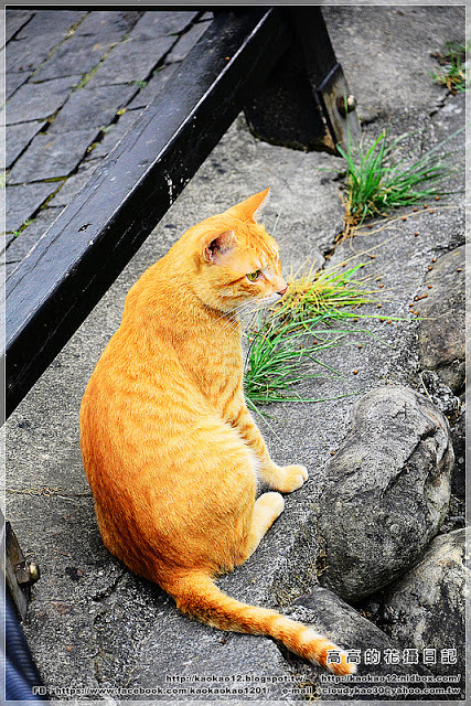 車埕木業館：【南投】水里鄉。車埕木業展示館 ＆ 貯木池與天車