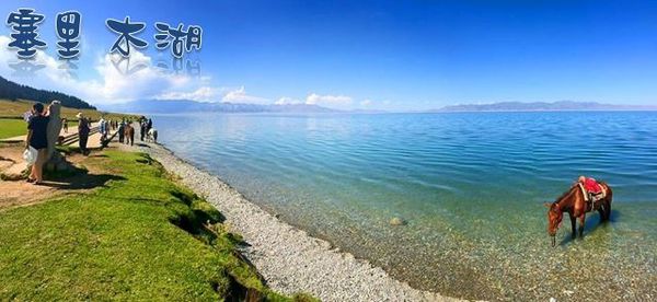 ▌台北 • 串炸達摩 ▌薇拉小公主不油膩推薦 •  啤酒君一定要來...大版原裝海外分店 元祖串炸 NT20~30 就可以度過一個小消夜....