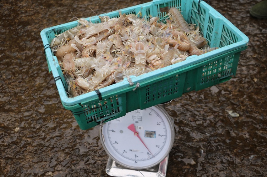 馬祖卡蹓趣。馬祖三天兩夜行程規劃 x 南竿、西莒、東莒、北竿