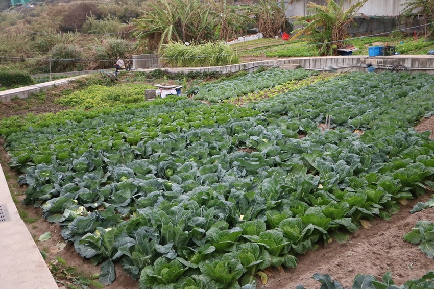 馬祖卡蹓趣。馬祖三天兩夜行程規劃 x 南竿、西莒、東莒、北竿