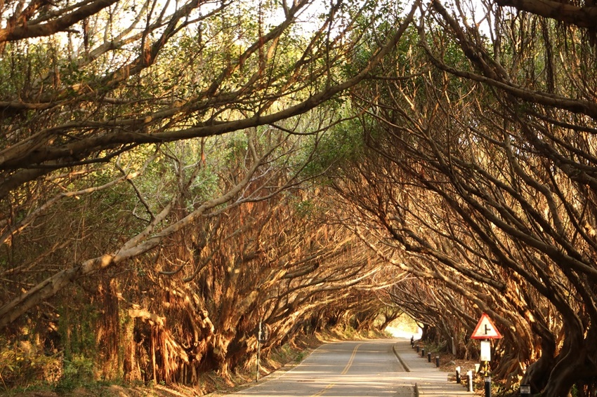 馬祖卡蹓趣。馬祖三天兩夜行程規劃 x 南竿、西莒、東莒、北竿