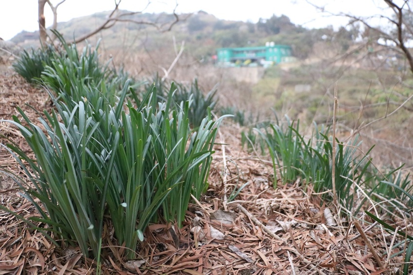 馬祖卡蹓趣。馬祖三天兩夜行程規劃 x 南竿、西莒、東莒、北竿