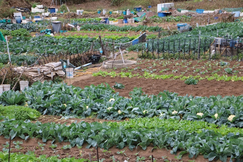 馬祖卡蹓趣。馬祖三天兩夜行程規劃 x 南竿、西莒、東莒、北竿