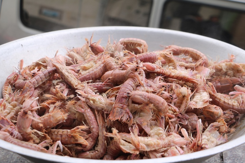 馬祖卡蹓趣。馬祖三天兩夜行程規劃 x 南竿、西莒、東莒、北竿