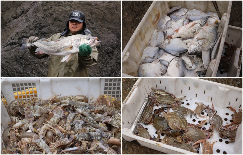 馬祖卡蹓趣。馬祖三天兩夜行程規劃 x 南竿、西莒、東莒、北竿