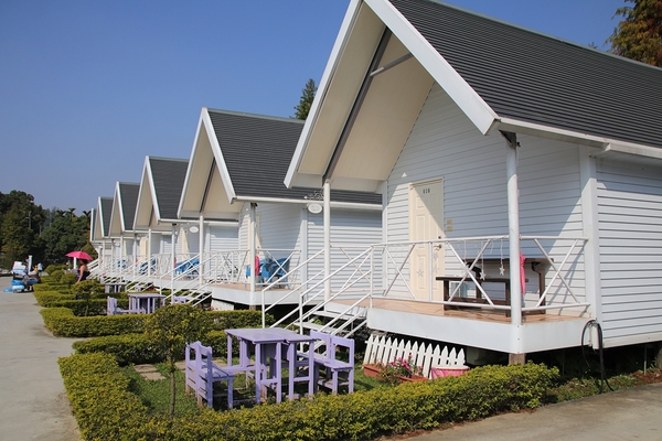 悅來居莊園落羽松：【嘉義民雄景點】悅來居莊園~白色唯美夢幻小木屋，一整排草原落羽松盡情美拍