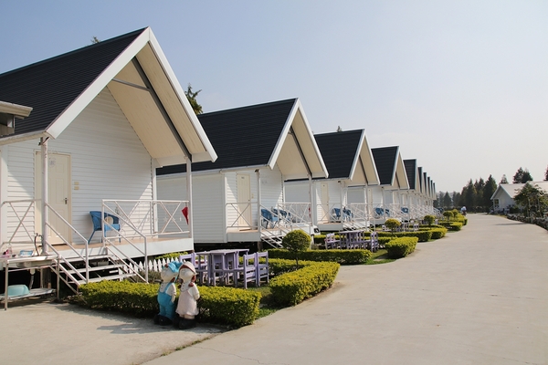 悅來居莊園落羽松：【嘉義民雄景點】悅來居莊園~白色唯美夢幻小木屋，一整排草原落羽松盡情美拍