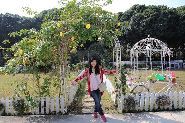 悅來居莊園落羽松：【嘉義民雄景點】悅來居莊園~白色唯美夢幻小木屋，一整排草原落羽松盡情美拍