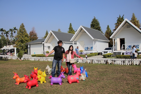 悅來居莊園落羽松：【嘉義民雄景點】悅來居莊園~白色唯美夢幻小木屋，一整排草原落羽松盡情美拍