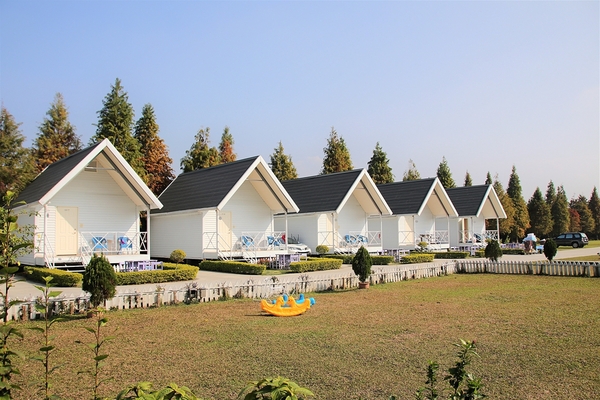 悅來居莊園落羽松：【嘉義民雄景點】悅來居莊園~白色唯美夢幻小木屋，一整排草原落羽松盡情美拍