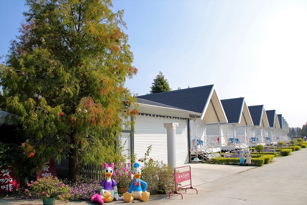 悅來居莊園落羽松：【嘉義民雄景點】悅來居莊園~白色唯美夢幻小木屋，一整排草原落羽松盡情美拍