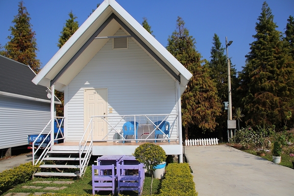 悅來居莊園落羽松：【嘉義民雄景點】悅來居莊園~白色唯美夢幻小木屋，一整排草原落羽松盡情美拍