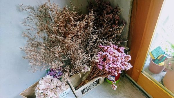 44610413_2104639519567726_4294984699207483392_n