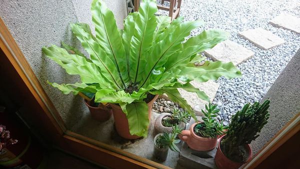 44672351_2104639622901049_6677762160514301952_n