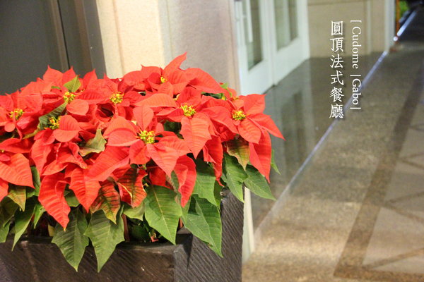 Cudome Restaurant 圓頂餐廳:【高雄||鼓山】Cudome Restaurant 圓頂餐廳──精緻&極致美味法式料理!給重要的人一個難忘的回憶! Cudome Restaurant 圓頂餐廳:【高雄||鼓山】Cudome Restaurant 圓頂餐廳──精緻&極致美味法式料理!給重要的人一個難忘的回憶!