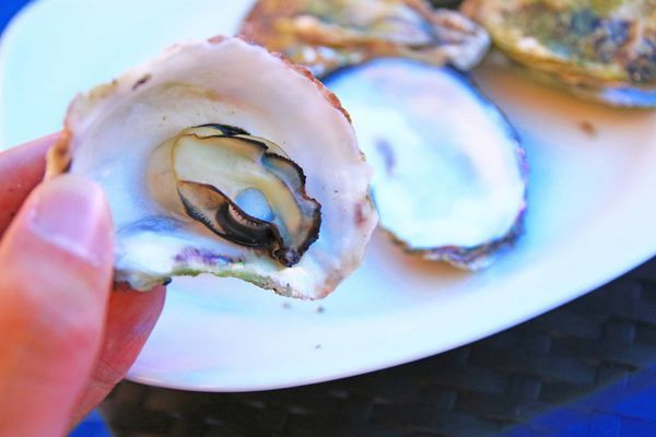 【澎湖飯店】澎湖福朋喜來登酒店-全澎湖唯一一家五星級飯店,超舒適、豪華的設備,讓你住了不想回家