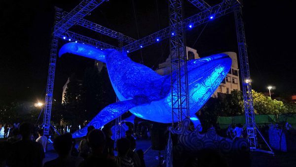 【2019澎湖國際海灣燈光節】15米大鯨魚主燈、400米星空虹橋,詳細內容介紹,完整拍攝體驗分享