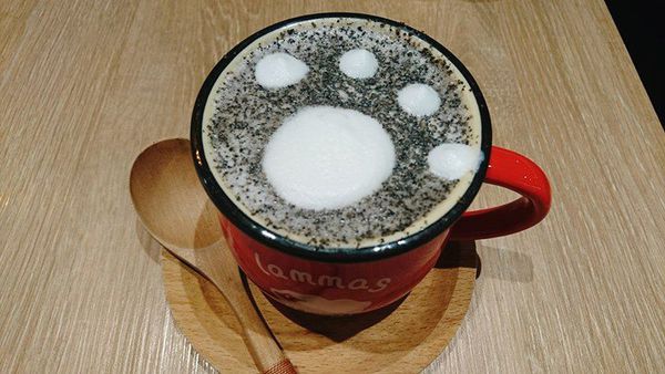 15978565_10154228986846762_2086013704_n