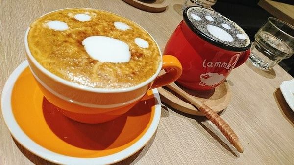 15970260_10154228986961762_682370326_n