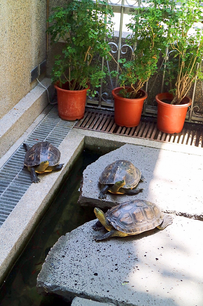 20170724 #1_170724_0014