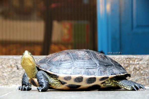 IMG_1412.jpg IMG_1412.jpg