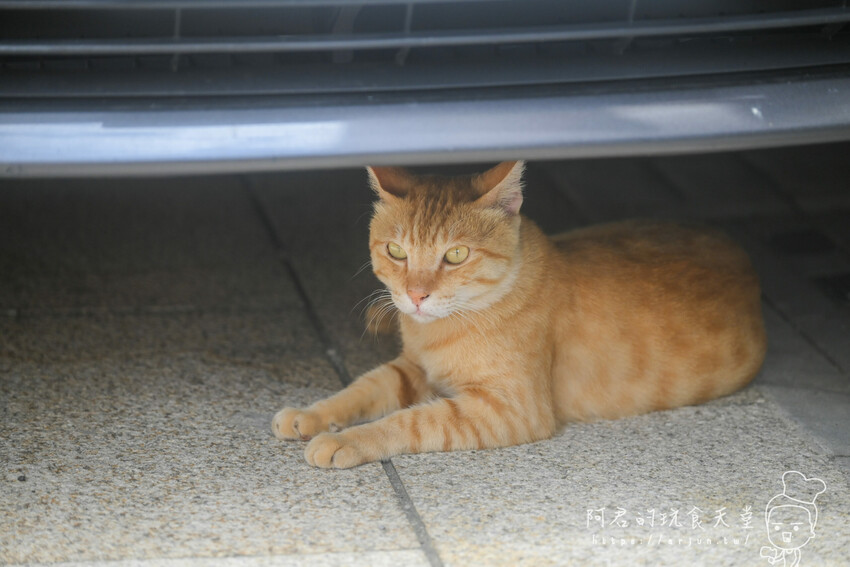 【新竹】湖口老街半日遊美食懶人包｜客家美食、義式餐廳通通有！停車場車資訊 » 阿君的玩食天堂