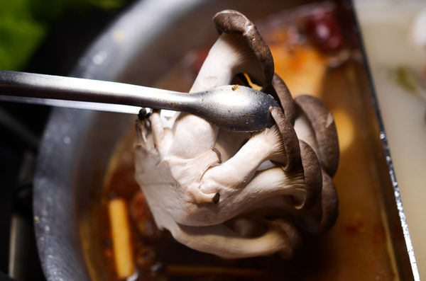 這一鍋皇室祕藏鍋物(大興西殿)：【桃園食記】這一鍋皇室秘藏鍋物 吃鍋吹冷氣超爽 越熱越開鍋 越多人越多折扣