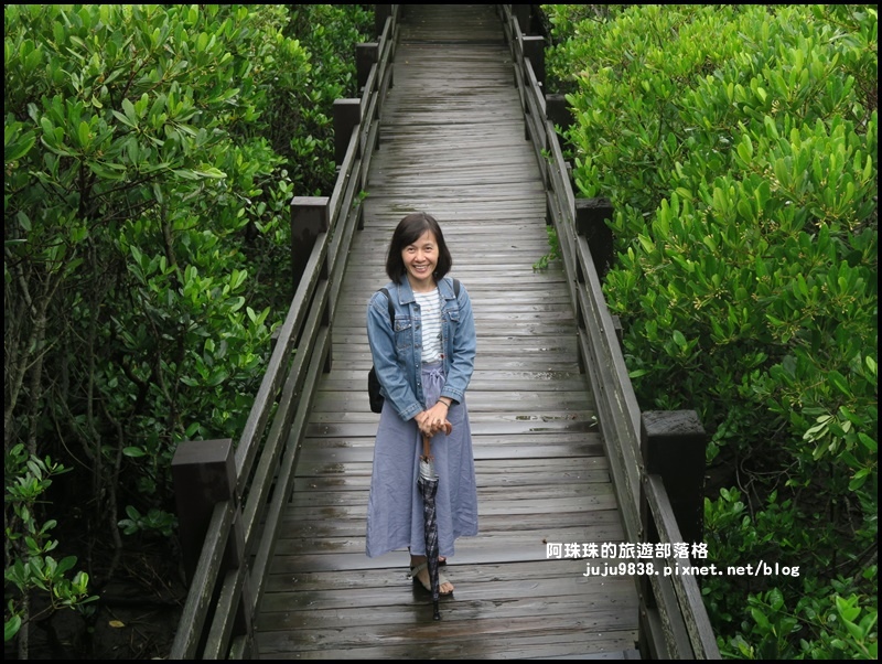 新豐紅樹林8.JPG