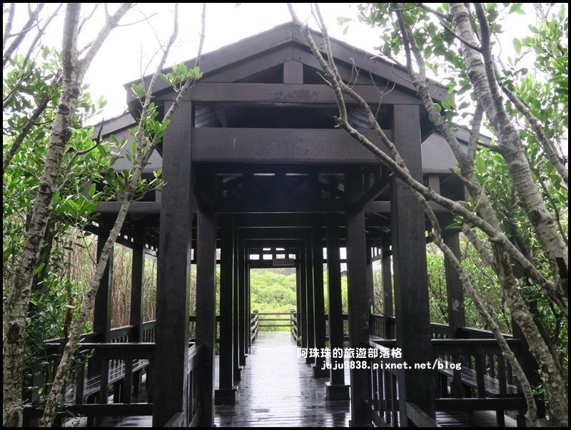 新豐紅樹林11.JPG