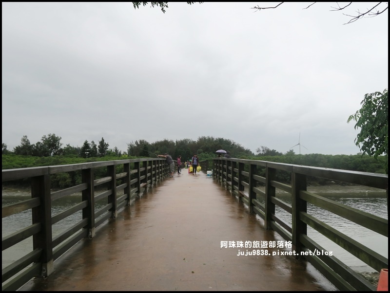 新豐紅樹林4.JPG