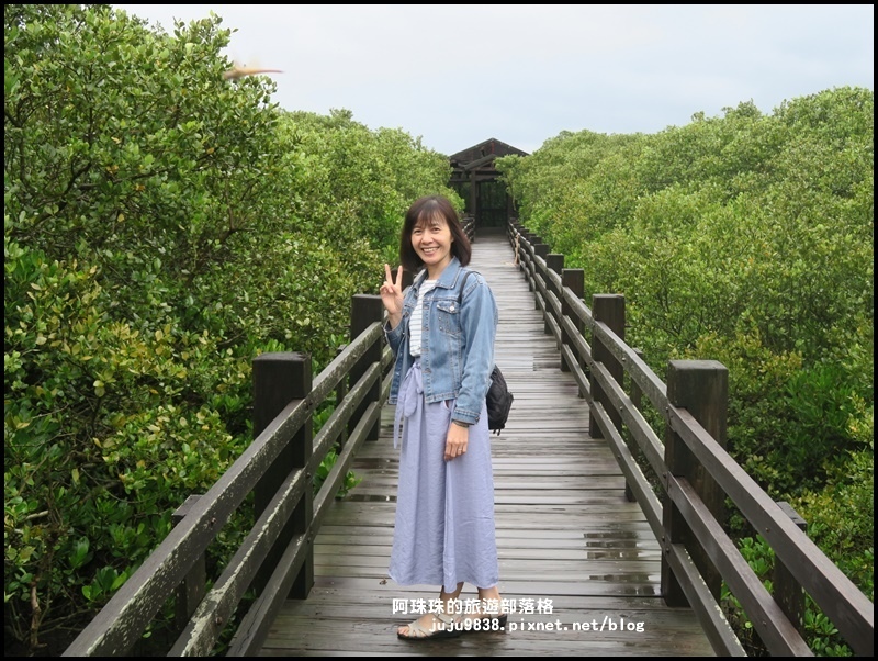 新豐紅樹林15.JPG