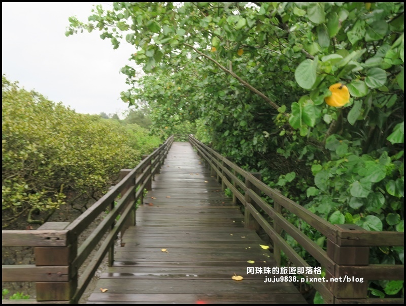 新豐紅樹林20.JPG