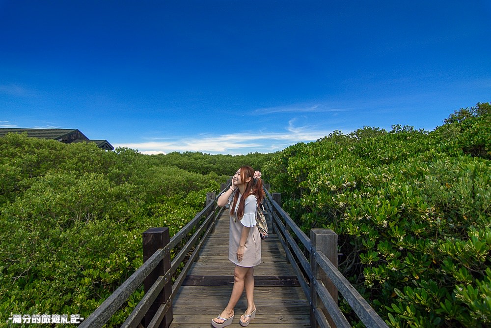 新竹新豐景點》新豐紅樹林公園 紅毛港休憩區 漫遊綠色步道 大自然的生態教室 - 滿分的旅遊札記