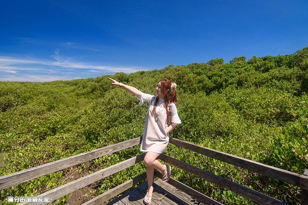 新竹新豐景點》新豐紅樹林公園 紅毛港休憩區 漫遊綠色步道 大自然的生態教室 - 滿分的旅遊札記